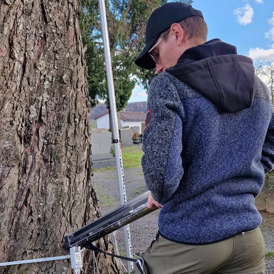 Bohrwiderstandsmessung Bohrwiderstandsmessung